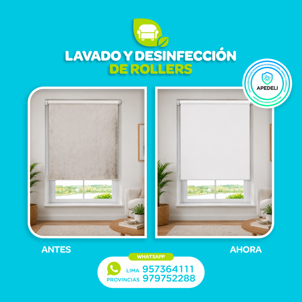 LAVADO DE ROLLERS LDM